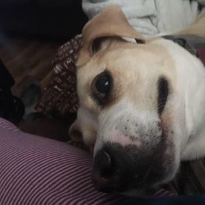 Meet your Posher, Isabella